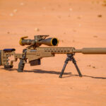 Precision Rifles